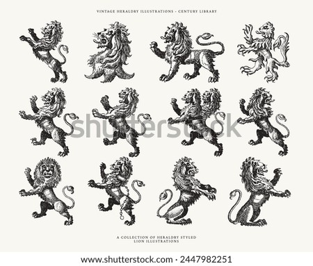 Set of Hand Drawn Heraldry Crest Lion Illustrations