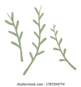 Set hand drawn herbal elements, twigs isolated on a white background. Doodle, simple illustration. It can be used for decoration of textile, paper and other surfaces.