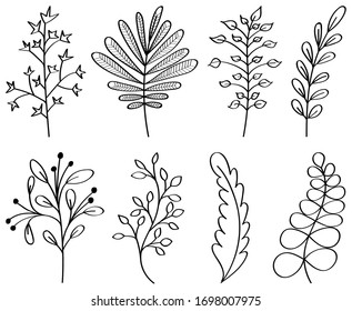 Set of hand drawn herbal twigs. Doodle, outline, vector botanical illustration. Isolated decorative elements on a white background for logo, greeting card, wedding invitation, quotes, blogs, frames.