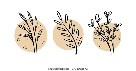 Set of hand drawn herbs