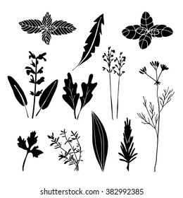Set of hand drawn herbs, black isolated vector objects