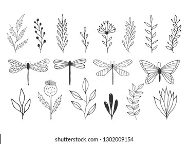 Set of hand drawn herbs, dragonflies and butterfly. Vector summer items. Isolated. Hand drawn ink texture.