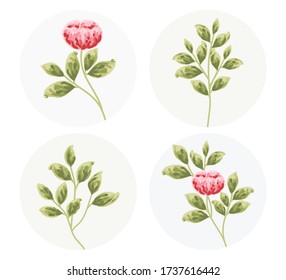 Conjunto de hierbas dibujadas a mano, hojas y elementos vectores florales. Colección de flores y ramas tropicales. ilustraciones botánicas para invitación, decoración de tarjetas de felicitación o logotipo de tienda de flores
