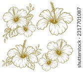Set of hand drawn hibiscus flower illustration. Hibiscus flower line art collection