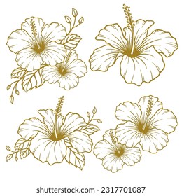 Set of hand drawn hibiscus flower illustration. Hibiscus flower line art collection