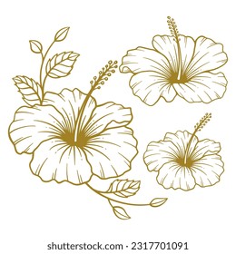 Set of hand drawn hibiscus flower illustration. Hibiscus flower line art collection