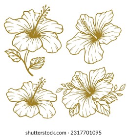 Set of hand drawn hibiscus flower illustration. Hibiscus flower line art collection