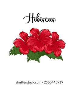 Set of Hand drawn Hibiscus Flower. Hibiscus flower vector illustration, featuring soft lines and intricate details. Perfect for nature-inspired designs, logos, and decorative projects.