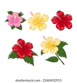 Set of Hand drawn Hibiscus Flower. Hibiscus flower vector illustration, featuring soft lines and intricate details. Perfect for nature-inspired designs, logos, and decorative projects.
