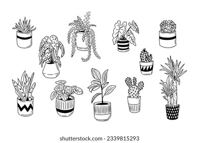 Set of hand drawn home plants doodles. Vector isolated outline elementds on white background. Cactus, begonia, dracaena in ceramic pots. Sketch design. Perfect for coloring pages, stickers, tatoo.