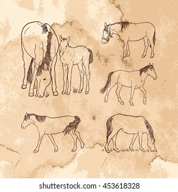Set of hand drawn horses on grunge textured background. Art vector illustration