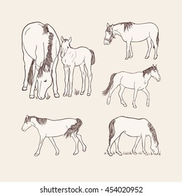 Set of hand drawn horses on beige background. Art vector illustration