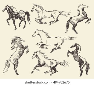 Set of hand drawn horses, vector illustration, sketch