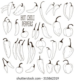 Set of hand drawn hot chili peppers, food ingredient collection