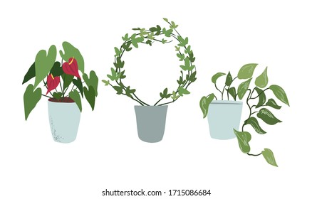 Set of hand drawn house indoor plants. Scandinavian style illustration.