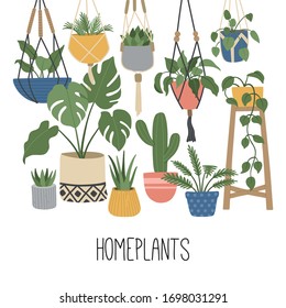 Set of hand drawn house plant, urban jungle in Scandinavian style, home decoration. Vector illustration isolated background. 