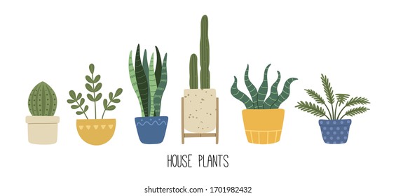 Set of hand drawn house plant, flowers in Scandinavian style, home decoration. Vector illustration isolated background. 