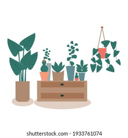 Set of hand drawn house plant, flowers in Scandinavian style, home decoration. 