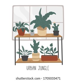 Set of hand drawn house plants, urban jungle in flat cartoon style, home decoration. Scandinavian cozy interior. Vector illustration isolated on white background. 