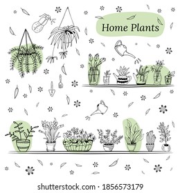 Set of hand drawn house plants in pots. Big set cute of hand drawn house plants in pots including cactus, dracena, aloe and others, and garden tools. Vector collection of doodle plants.