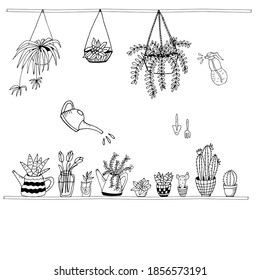 Set von handgezogenen Hauspflanzen in Töpfen. Große Sorte handgezeichneter Hauspflanzen in Töpfen, darunter Kakteen, Dracena, Aloe und andere, und Gartenwerkzeuge. Vektorgrafik von Doodle-Pflanzen.