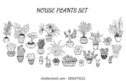 Set of hand drawn house plants in pots. Big set cute of hand drawn house plants in pots including cactus, dracena, aloe and others, and garden tools. Vector collection of doodle plants.
