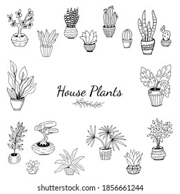 Conjunto de plantas de la casa dibujadas a mano en macetas. Gran conjunto adorable de plantas de la casa dibujadas a mano en ollas que incluyen cactus, dracena, aloe y otros, y herramientas de jardín. Colección vectorial de plantas de doodle.