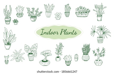 Set of hand drawn house plants in pots. Big set cute of hand drawn house plants in pots including cactus, dracena, aloe and others, and garden tools. Vector collection of doodle plants.