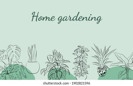Conjunto de plantas de la casa dibujadas a mano en macetas. Gran conjunto adorable de plantas de la casa dibujadas a mano en ollas que incluyen cactus, dracena, aloe y otros, y herramientas de jardín. Colección vectorial de plantas de doodle.