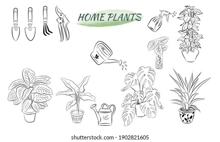 Set of hand drawn house plants in pots. Big set cute of hand drawn house plants in pots including cactus, dracena, aloe and others, and garden tools. Vector collection of doodle plants.