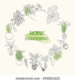 Set of hand drawn house plants in pots. Big set cute of hand drawn house plants in pots including cactus, dracena, aloe and others, and garden tools. Vector collection of doodle plants.