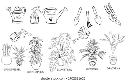 Set of hand drawn house plants in pots. Big set cute of hand drawn house plants in pots including cactus, dracena, aloe and others, and garden tools. Vector collection of doodle plants.