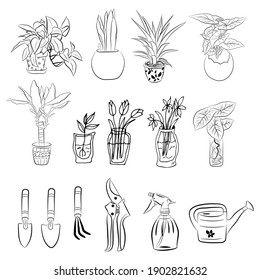 Set of hand drawn house plants in pots. Big set cute of hand drawn house plants in pots including cactus, dracena, aloe and others, and garden tools. Vector collection of doodle plants.