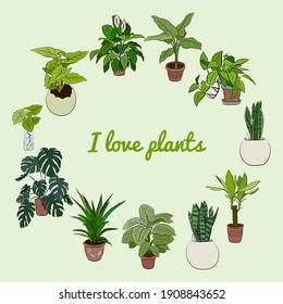 Set of hand drawn house plants in pots. Big set cute of hand drawn house plants in pots including cactus, dracena, aloe and others, and garden tools. Vector collection of doodle plants.