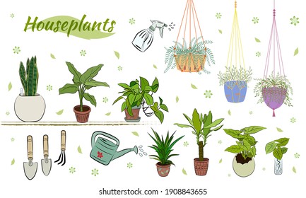 Set of hand drawn house plants in pots. Big set cute of hand drawn house plants in pots including cactus, dracena, aloe and others, and garden tools. Vector collection of doodle plants.