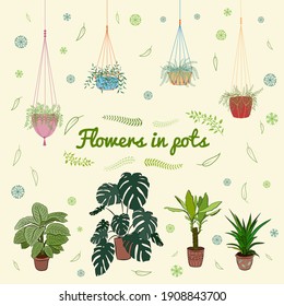 Set of hand drawn house plants in pots. Big set cute of hand drawn house plants in pots including cactus, dracena, aloe and others, and garden tools. Vector collection of doodle plants.