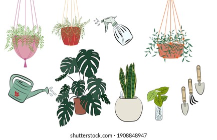 Set of hand drawn house plants in pots. Big set cute of hand drawn house plants in pots including cactus, dracena, aloe and others, and garden tools. Vector collection of doodle plants.