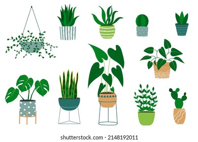 Set of hand drawn houseplants in flowerpots. Alocasia plant, cactus, monstera, jade plant, aloe. Isolated vector illustration.