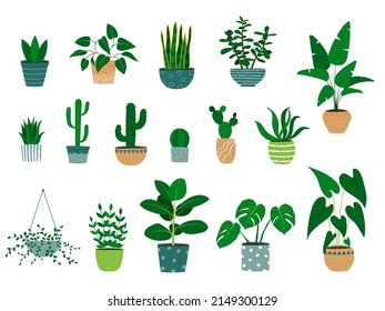 Set of hand drawn houseplants in flowerpots. Alocasia plant, cactus, monstera, jade plant, aloe. Isolated vector illustration.