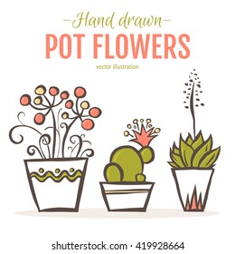 Set of hand drawn houseplants in pots