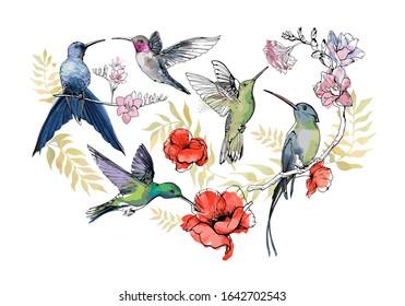 Set of hand drawn Hummingbirds with flowers for your design, greeting cards, posters. Collection of sketch colibri, watercolor floral print isolated on white background. Vector realistic illustration.