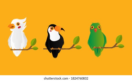 Juego de ilustraciones dibujadas a mano diseño ave animal