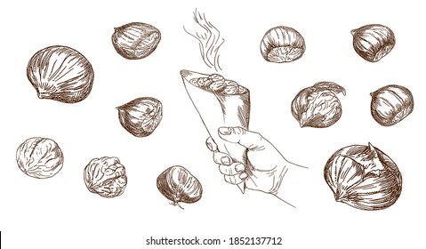 Set of hand drawn illustration. Hand holding grilled whole chestnuts.