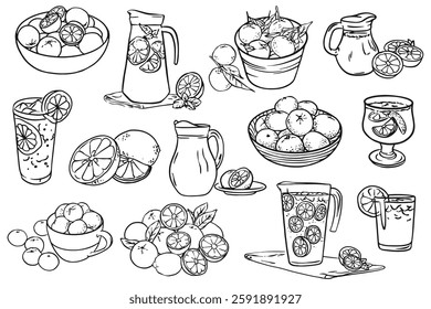 Set of hand drawn illustrations of citrus and cocktails . Vector ink hand drawn illustrations. Collection for invitations, posters, posters.