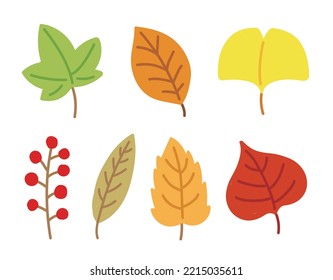 A set of hand drawn illustrations depicting fallen leaves in the autumn season. Maple leaves, ginkgo leaves, berries.