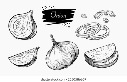 Un conjunto de ilustraciones dibujadas a mano que representan cebollas enteras y sus diversas formas en rodajas.