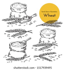 set of hand drawn illustrations of flour and wheat. sketches for the design of cafes, restaurants, food packages. bread collection