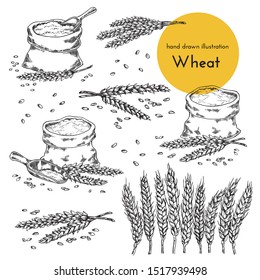 set of hand drawn illustrations of flour and wheat. sketches for the design of cafes, restaurants, food packages. bread collection