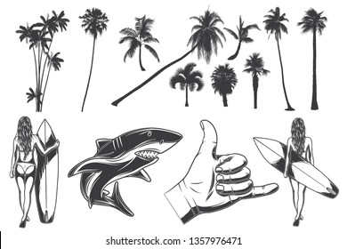 Set with hand drawn illustrations of girl with surfing board, shark and hand with surfing gesture. Set of palms silhouettes. Isolated on white background.