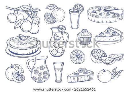 Set of hand drawn illustrations of oranges and orange desserts. Oranges, juice, orange  pie, cake, cupcake. Hand drawn sketch illustration.